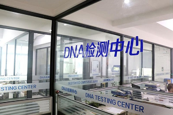 普洱DNA检测收费咨询服务（专注顾问解答您的DNA检测收费问题） 